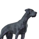 Safari Ltd Best In Show Great Dane