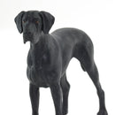 Safari Ltd Best In Show Great Dane
