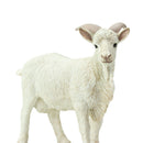 Safari Ltd Farm Billy Goat