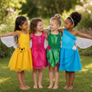 Tinkerbell Fairy Dress and Wings (Green)