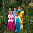 Fairy Tale Dress (Blue Butterfly Dress)