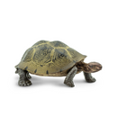 Safari Ltd Wildlife Desert Tortoise