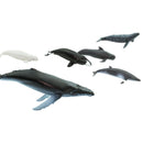 Safari Ltd Toob Whales