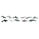 Safari Ltd Whales & Dolphins Toob 694704 can be purchased online and in any Pret-À-Play.