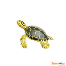 Safari Ltd Green Sea Turtle Baby (Wild Safari Sea Life) 201329 can be purchased online and in any of the Pret-À-Play.