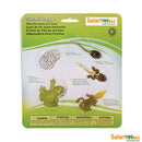 Safari Ltd Life Cycle of a Frog (Life Cycle Series) 269129 can be purchased online and in any Pret-À-Play.