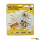 Safari Ltd Life Cycle of a Honey Bee (Life Cycle Series) 622716 can be purchased online and in any Pret-À-Play.