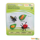 Safari Ltd Life Cycle of a Ladybug (Life Cycle Series) 662716 can be purchased online and in any Pret-À-Play.