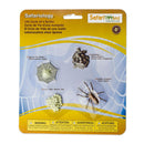 Safari Ltd Safariology Life Cycle Of A Spider part of the Safari Ltd Collection at Pret-À-Play.